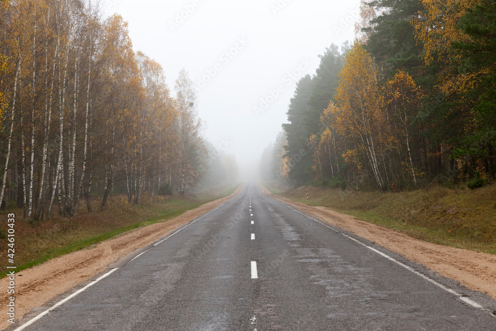 autumn road with deciduous trees