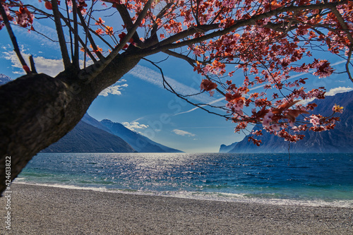 View of the beautiful Lake Garda Asurrounded by mountains,  Garda lake in the spring time,Trentino alto Adige region,italy