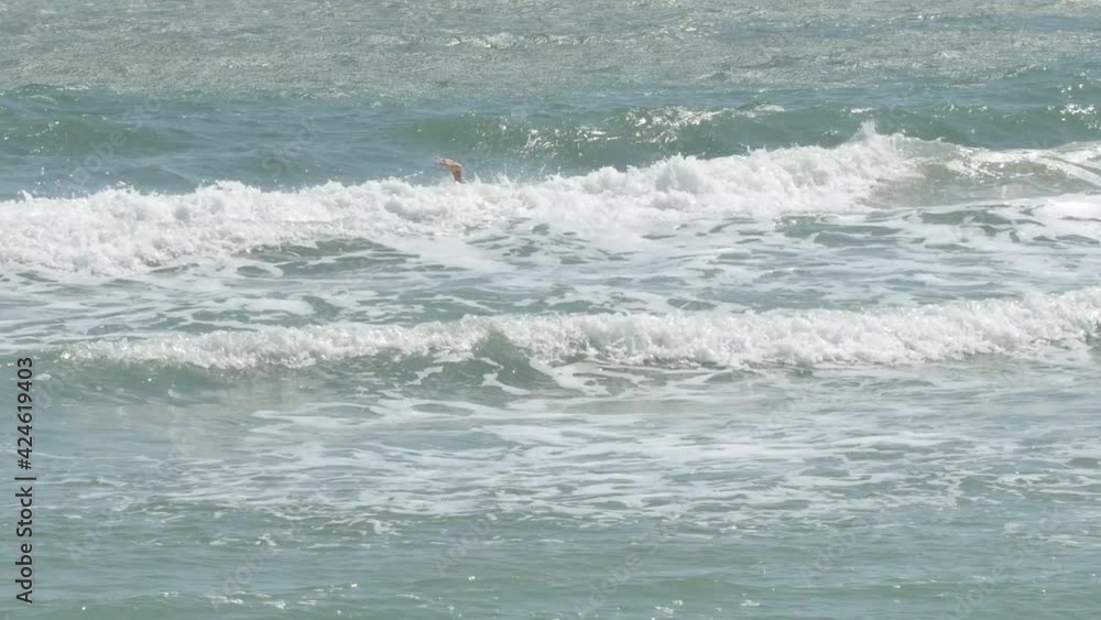 A man enjoying the wavy sea swimming and playing in the water. A man enjoying the wavy sea swimming and playing in the water.