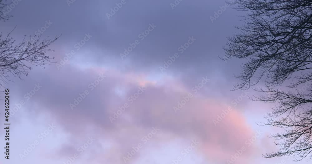Clouds drifting by between bare tree branches in the forest blue sky Clouds drifting by between bare tree branches in the forest blue sky