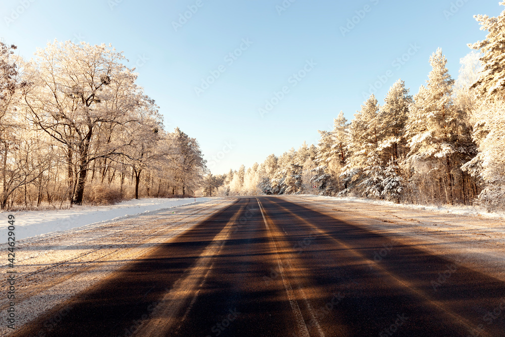 Fototapeta premium road in the winter season
