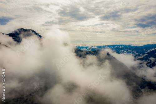 Cloud forest. Colombia. Central Cordillera of the Andes.
