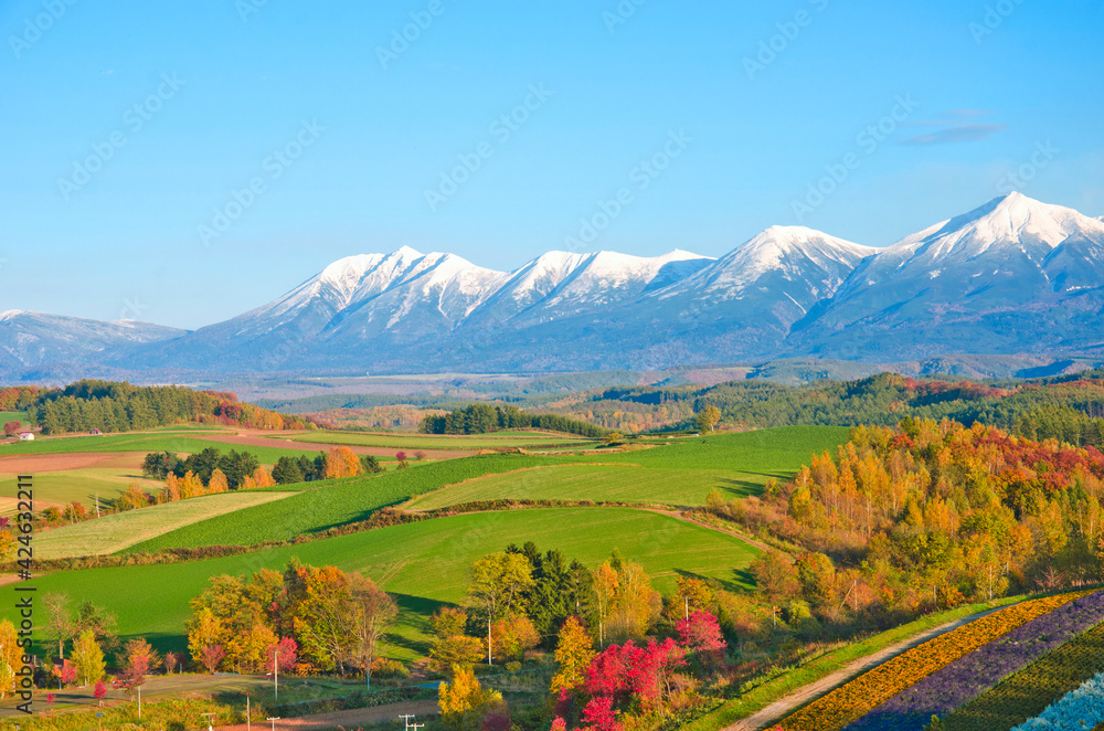 Summer Flower Fields and Tokachi mountainrange in Biei, Hokkaido, Japan