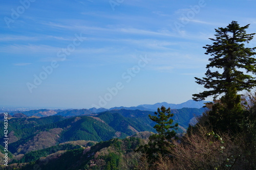 高尾山 かすみ台展望台からの景色 春