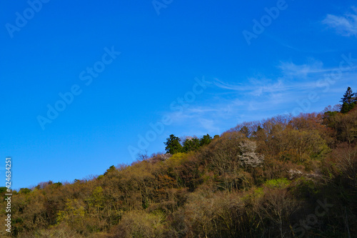 新緑の山と青空 春