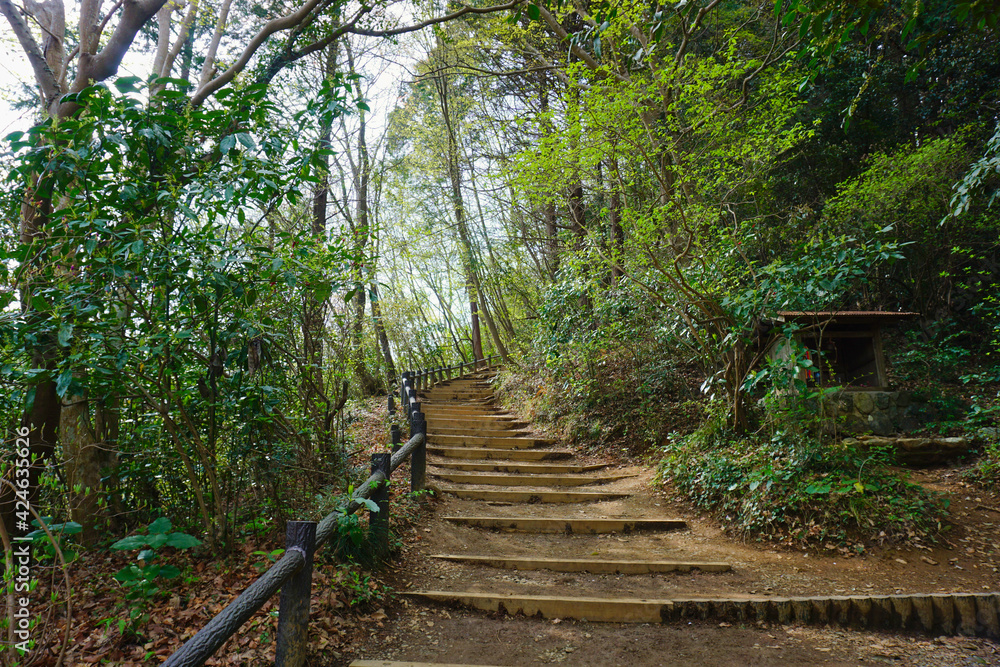 Fototapeta premium 登山道 稲荷山コースの階段 高尾山