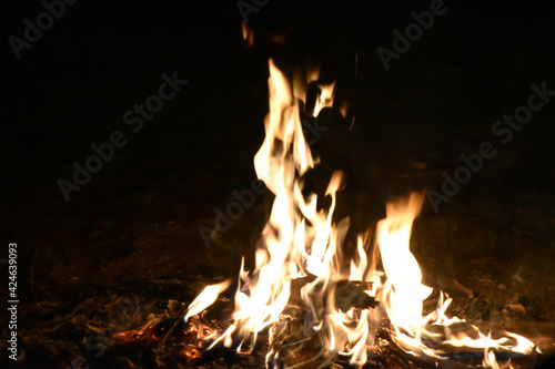 Abstract flame bonfire on black background