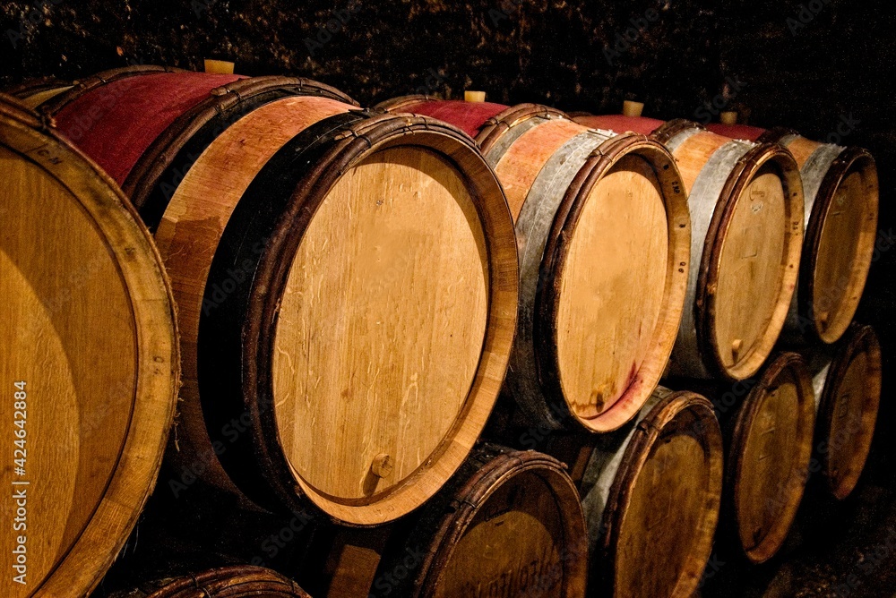 Oak wine barrels aging Burgundy wine in Gevery-Chambertin wine cellar in Burgundy, France.