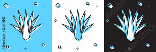 Set Agave icon isolated on blue and white, black background. Traditional Mexican plant. Vector