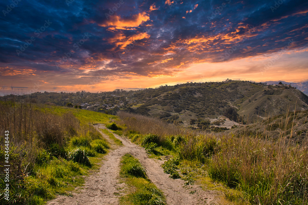 Spectacular views from Ellings park in California