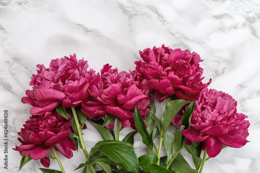 Red peony flowers on marble table. Natural summer blooms top view. Flowery holiday background. Red peony flowers on marble table. Natural summer blooms top view. Flowery holiday background.