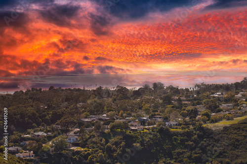 Spectacular views from Ellings park in California © L. Paul Mann