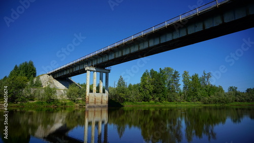 bridge over river in the forest