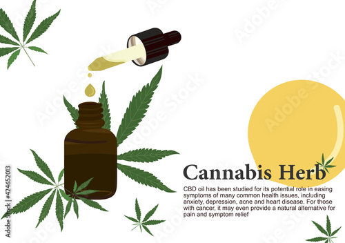 Cannabis herb for pure CBD oil extraction in medical treatment vector ep02