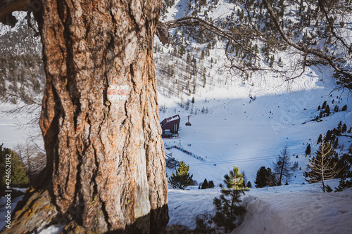 Fototapeta Naklejka Na Ścianę i Meble -  verbier, nands, szwajcaria
narciarski, narty, zimą, śnieg, zima, góra, narciarski, sport, przeziębienie, krajobraz, piesze wycieczki, ekstremalne, charakter, niebo, przygoda, alpy, lud, narciarstwo, a