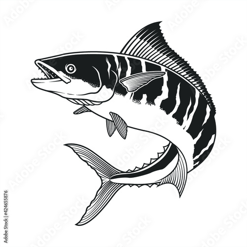  sketch, illustration, vector