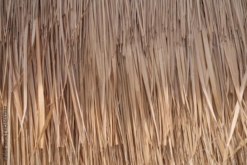 Dry palm tree wall in tropical construction. Dry old palm leaves, background texture. Dry palm tree wall in tropical construction. Dry old palm leaves, background texture.