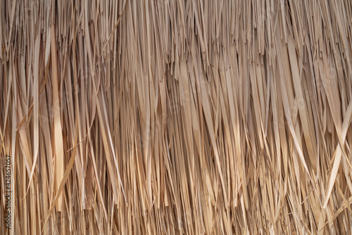 Dry palm tree wall in tropical construction. Dry old palm leaves, background texture.