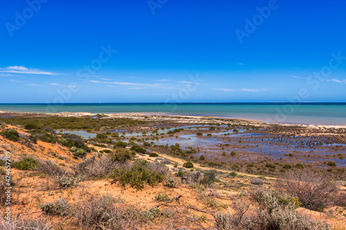 View of coastal formations  off Shark Bay  near Denham  Western Australia