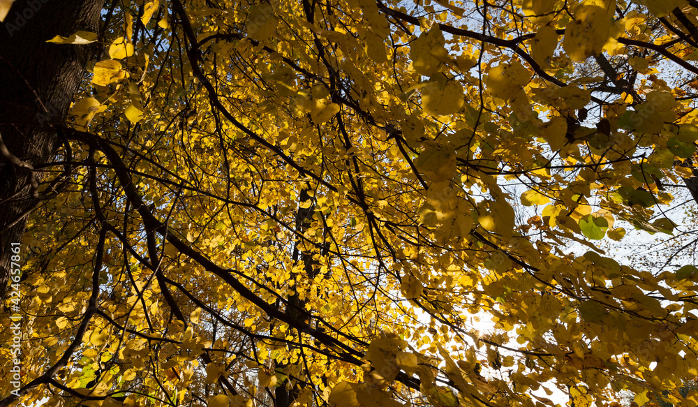 influence and impact of the autumn season on nature influence and impact of the autumn season on nature
