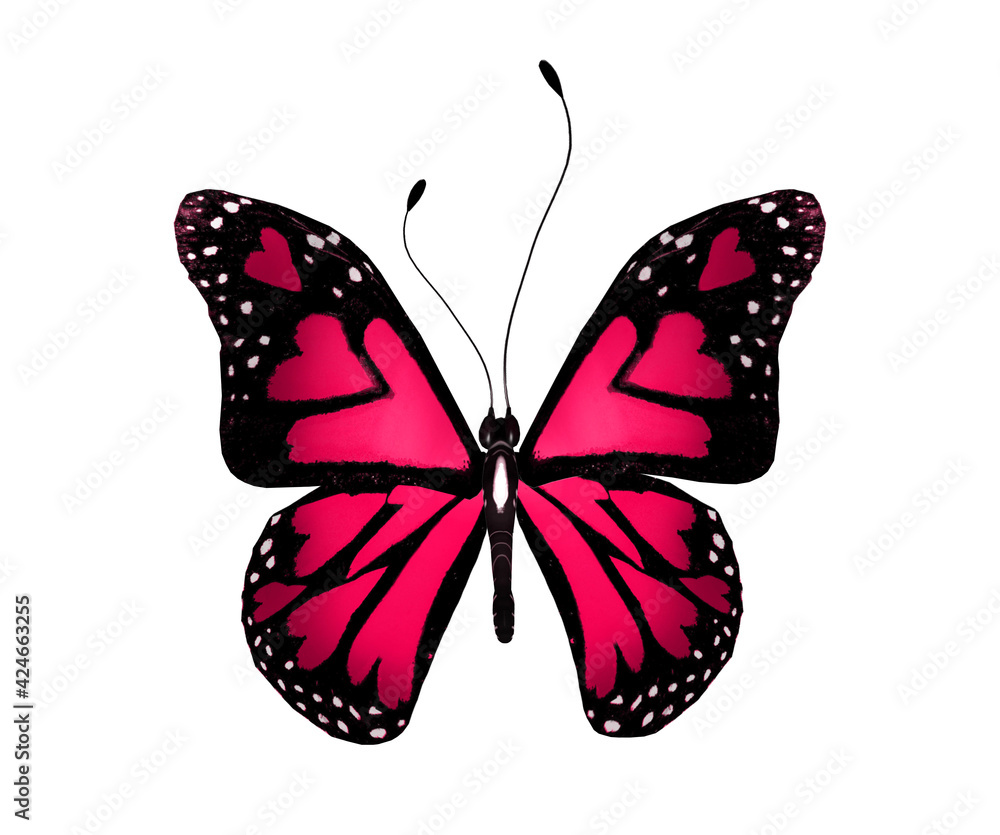 Color love-butterfly with hearts in the wings, isolated on the white background Color love-butterfly with hearts in the wings, isolated on the white background