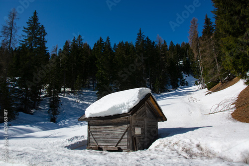 Wallpaper Mural il disgelo sulle montagne Torontodigital.ca