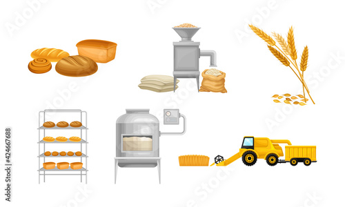 Bread Production from Grain Crop Harvesting to Grinding and Baking Vector Illustration Set