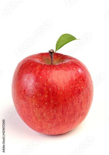リンゴとリンゴの葉