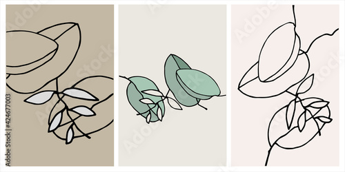 Decor printable art. Set of hand drawn vector illustrations of Eucalyptus leaves