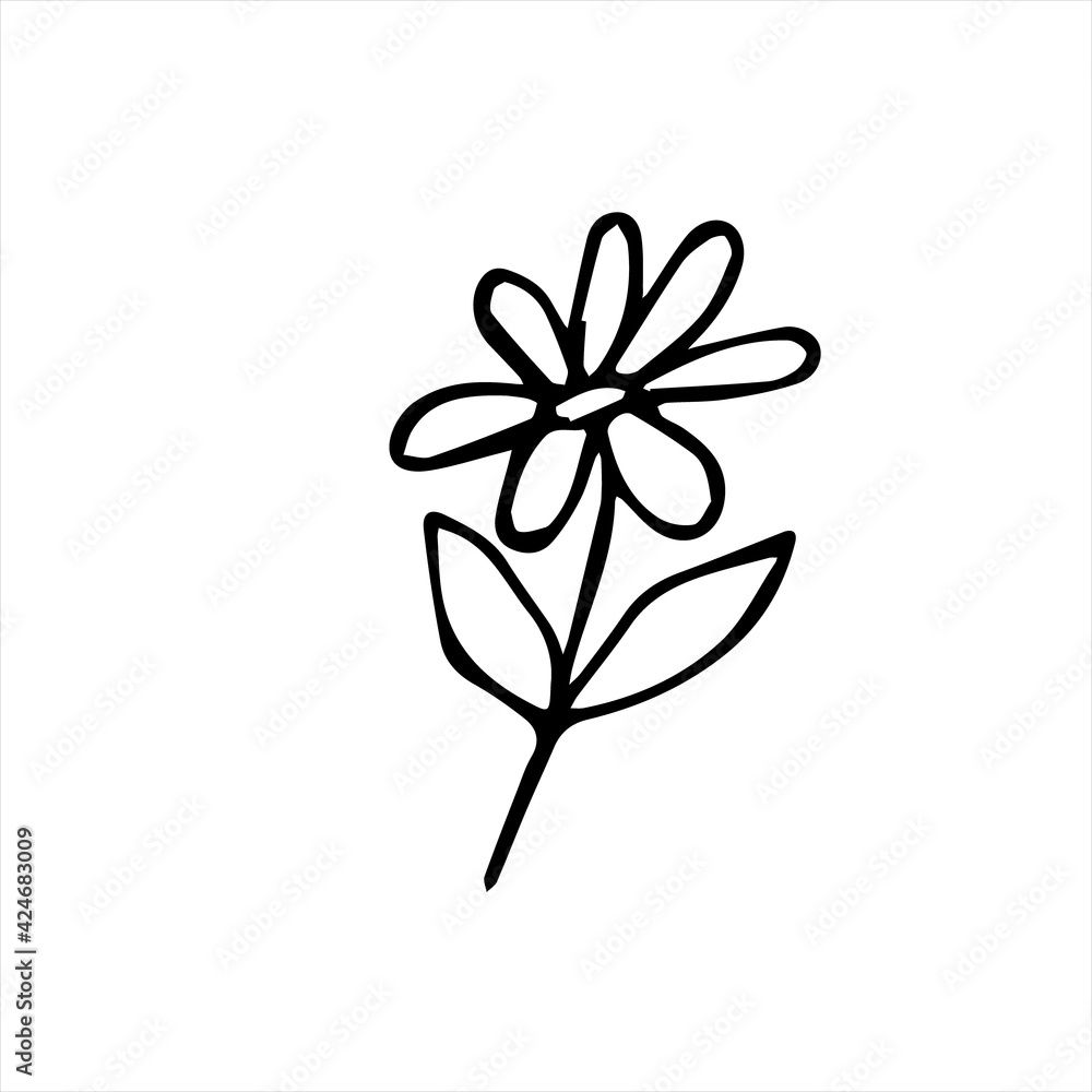 One hand-drawn daisy. Doodle vector illustration. Isolated on a white background, black and white graphics