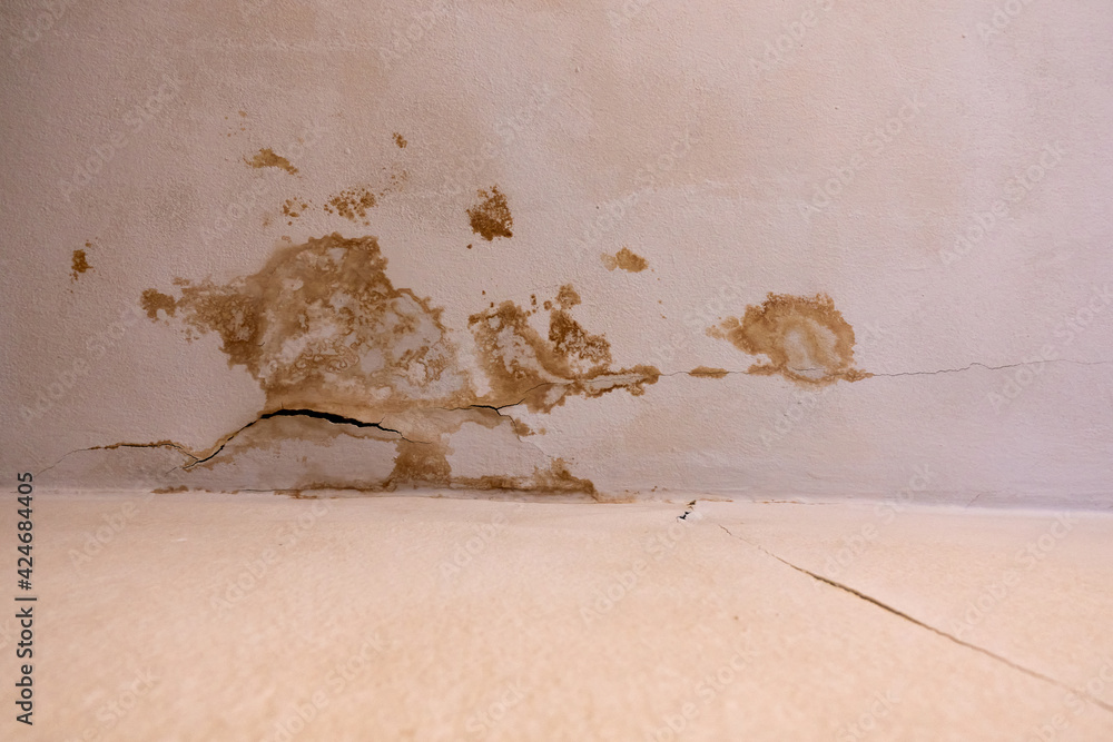 Leaking siphon of a shower tray in the bathroom, causes water damage