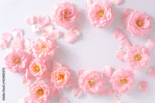 pink flowers on white background © hirobirock
