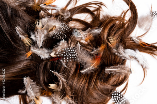 Feathers fall randomly on scattered women's hair on a white background