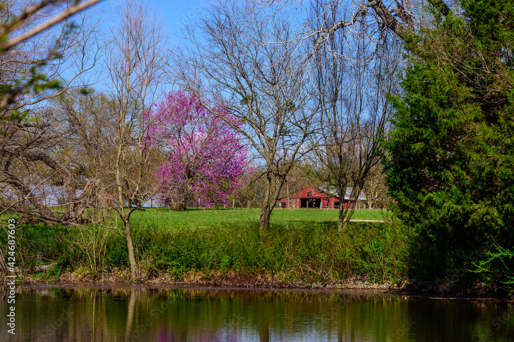 Samuell Farms Park Series-0239