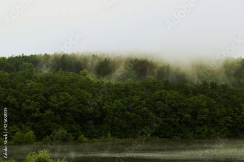 steam evaporating from the forest and the lake