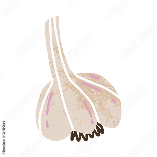Retro garlic with texture. Cartoon style isolated illustration. © Bubble beanie