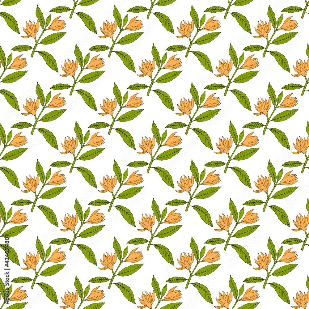 Seamless pattern with champak magnolia champaca 