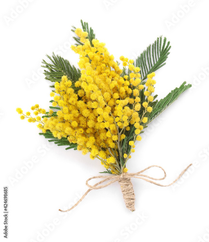 Quadro su tela Beautiful mimosa flowers isolated on white, top view