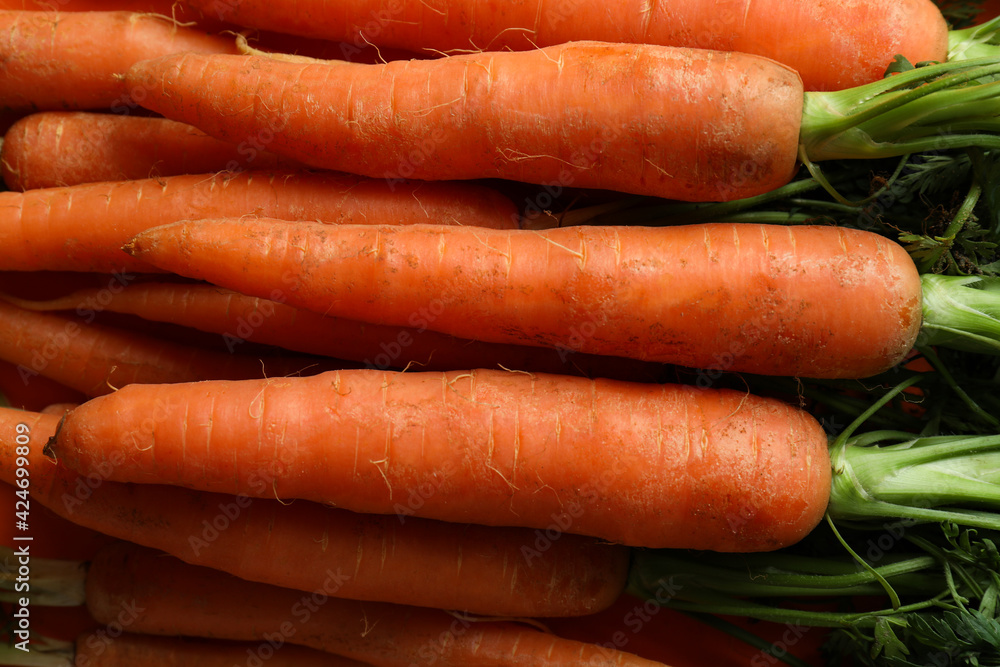 Fresh ripe carrot on whole background, close up Fresh ripe carrot on whole background, close up