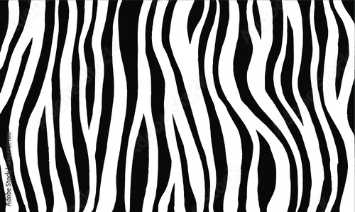Zebra print, animal skin, tiger stripes, abstract pattern, line background, fabric. Vintage, retro 80s, 90s. Amazing hand drawn vector illustration. Poster, banner. Black and white artwork, monochrome