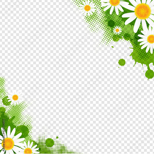 Banner With Spring Flowers Camomiles Transparent Background With Gradient Mesh, Vector Illustration