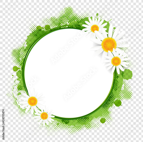 Banner With Spring Flowers Camomiles White Background With Gradient Mesh, Vector Illustration