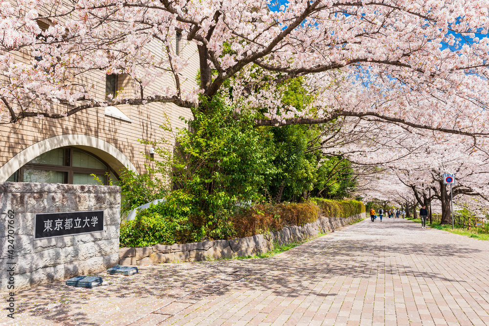 東京都立大学 南大沢キャンパス