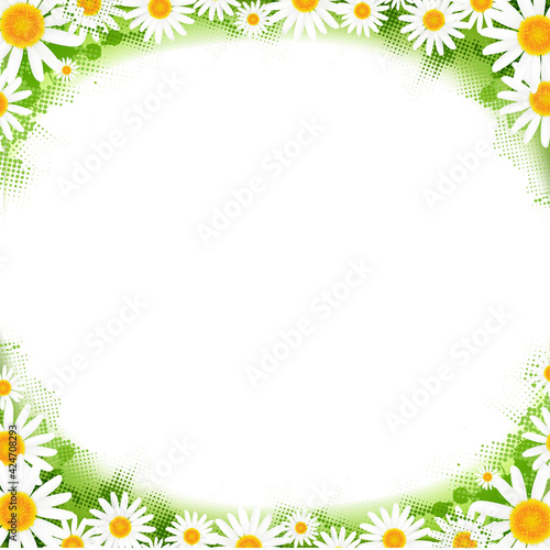 Spring Frame With Flowers White Camomiles Isolated With Gradient Mesh, Vector Illustration