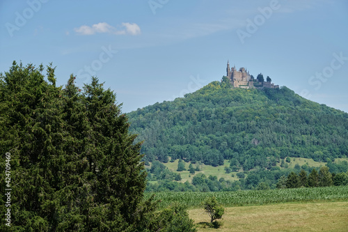 Many green conifers in the foreground, meadow and corn field in front of a small mountain. Hohen zollern castle on the high landform. Germany, Baden-Wuerttemberg.