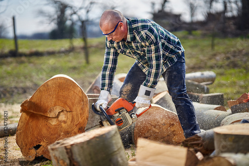 Lumberjack with chainsaw working