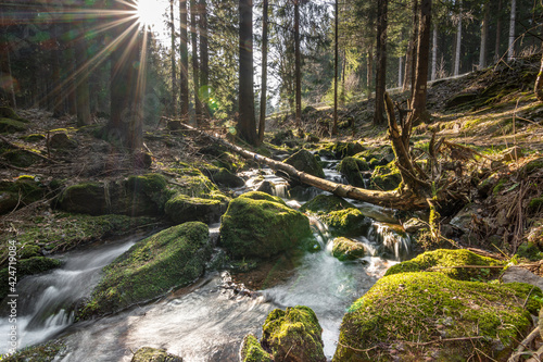 Bachlauf im Thüringer Wald