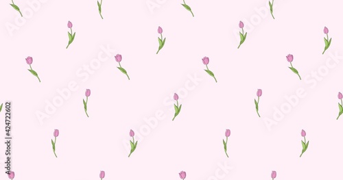 Tulip seamless pattern on pink background