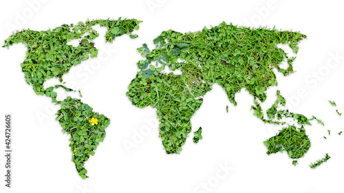 World map made of uncultivated grass lawn and plants, isolated on white background. 4k resolution.