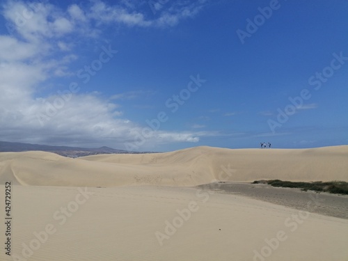 Maspalomas dunes  the desert in Gran Canaria 